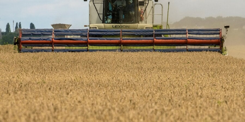 Європа поступово скасовує обмеження на імпорт сільгосппродукції з України до пʼяти країн